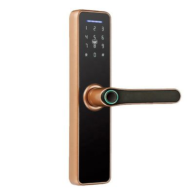 App-intelligenter elektronischer Verschluss Wifi-Passwort-Verschluss Rosh Ttlock Tuya